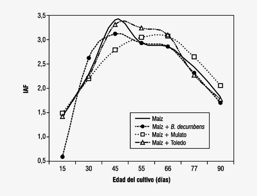 Índice De Área Foliar Del Cultivo De Maíz En Asocio - Indice De Area Foliar, transparent png #2973290