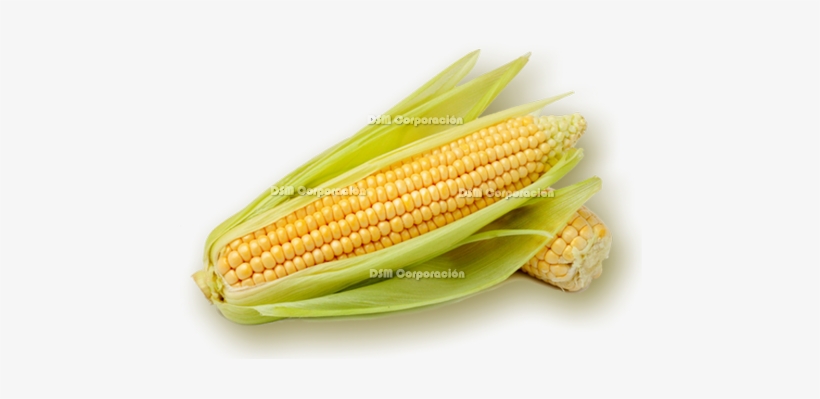 Ingredients - - Intercropping And Weed Management Practices In Maize, transparent png #2973504