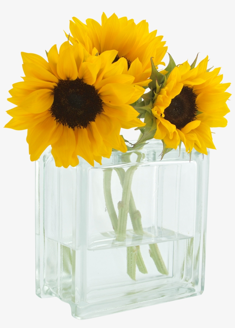 You Are My Sunshine - Good Morning Yellow Beautiful Flowers, transparent png #2973834