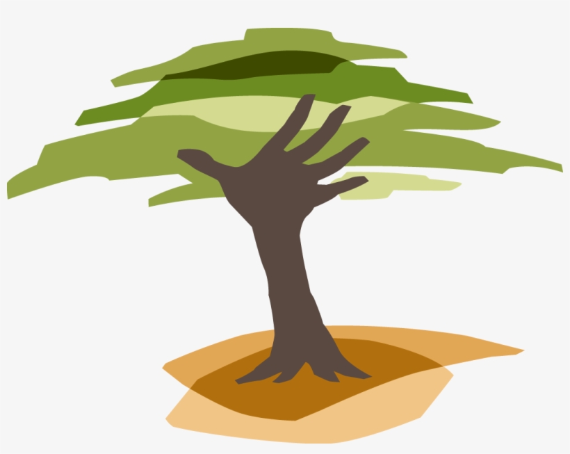 Eden Reforestation Projects, transparent png #2974420