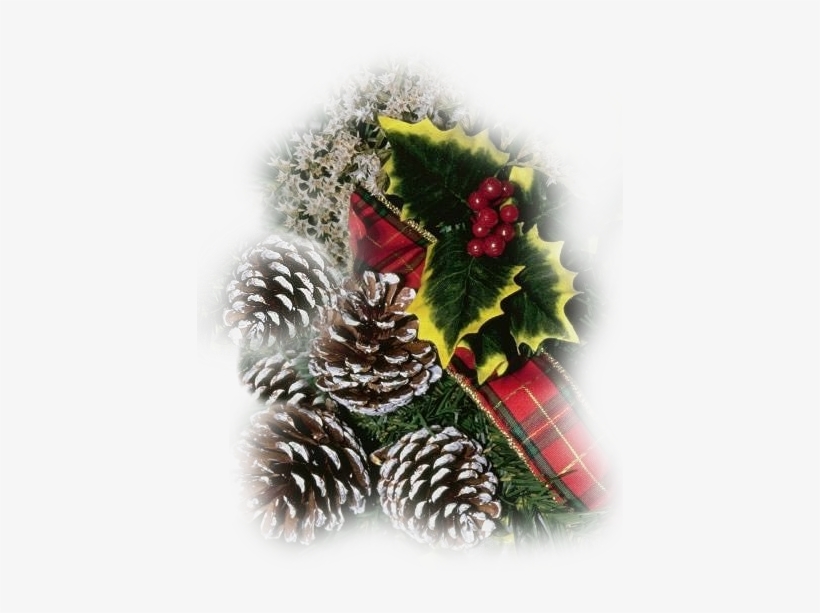 Christmas Gifs,png - Claire Worthington: Christbaumschmuck - Neue Ideen, transparent png #2974488