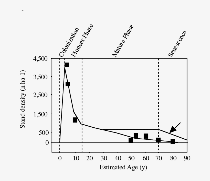 Changes In Stem Density As A Mangrove Stand Matures - Science, transparent png #2974798