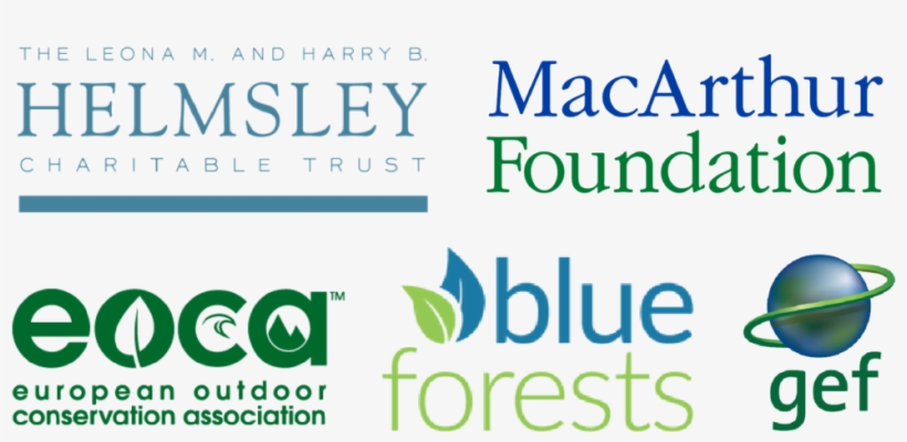 Support Mangrove Conservation - Global Environment Facility, transparent png #2974986