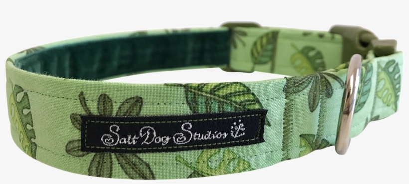 Image - Belt, transparent png #2975013