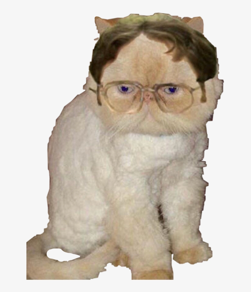 Report Abuse - Angela The Office Cat, transparent png #2975040