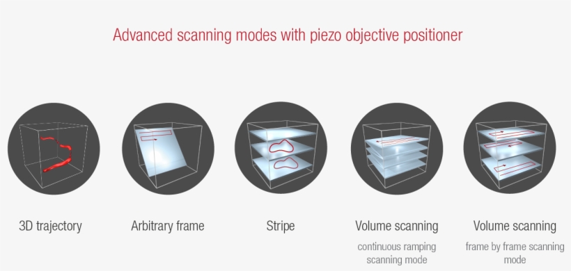 Positions Objectives - Display Advertising, transparent png #2975488