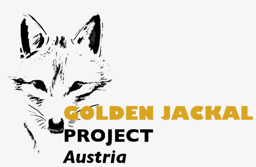 Golden Jackal Project In Austria, transparent png #2975960
