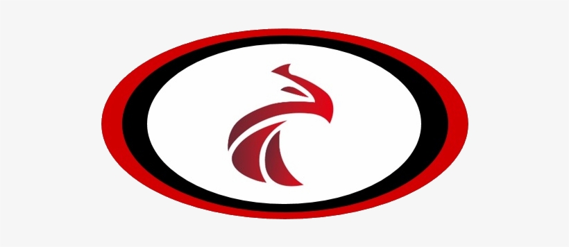 Falcon Racing Logo, Falcon Rowing, Falcon Racing Shells, - Rowing, transparent png #2976343