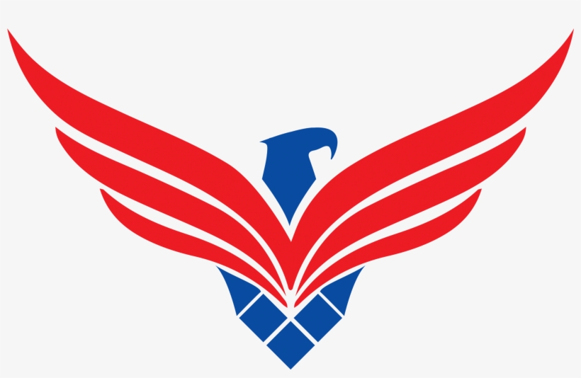 Falcon Head Logo Png Download - Booth Fickett Falcons, transparent png #2976561