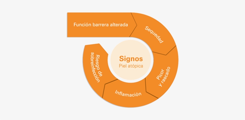 Fuente Los Signos De La Piel Atópica Son Como Un Círculo - Atopic Dermatitis, transparent png #2977131