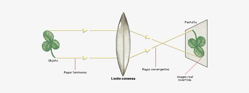 Gaudiano Trinidad - Optica Fisica Imagen Real, transparent png #2977135