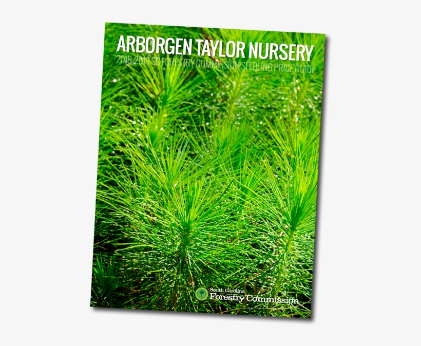 15 Jun - Price, transparent png #2978127