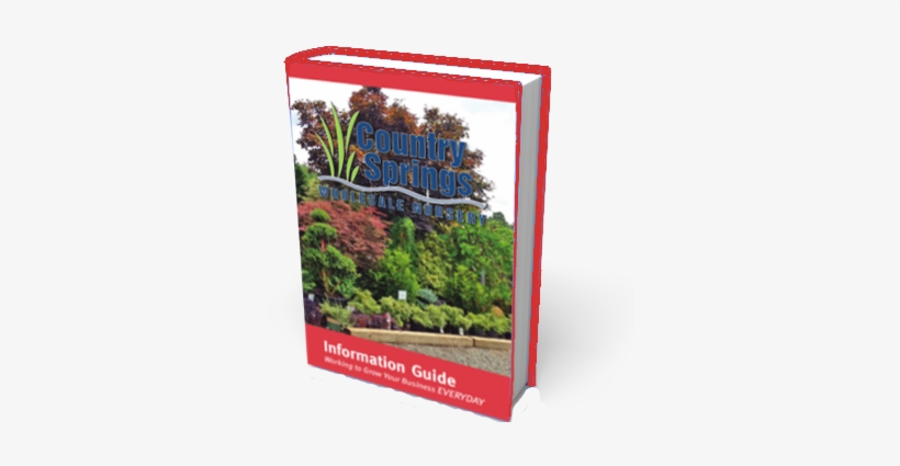 Info Guide - Cswn - Information, transparent png #2978228