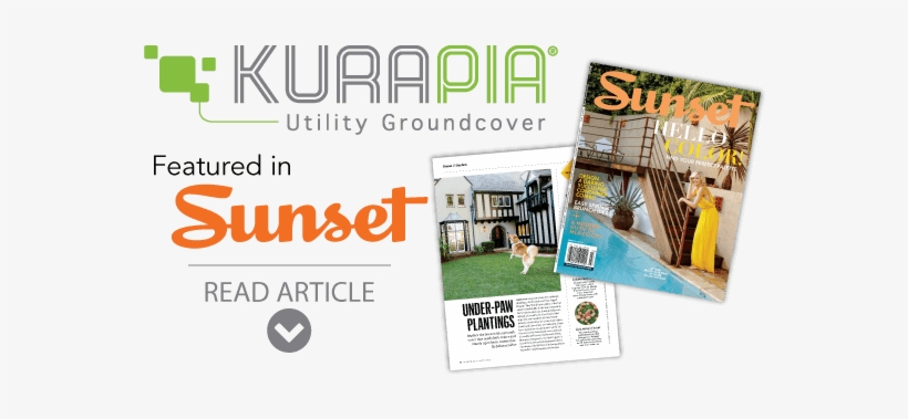 Kurapia Featured In Sunset - Sunset Mountain Escapes: The Best Of The Cascades,, transparent png #2978295