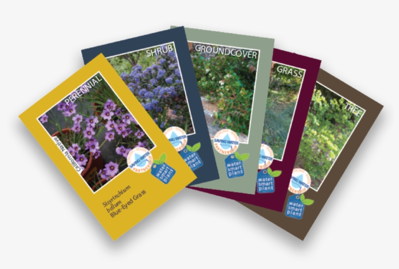 The Sonoma-marin Saving Water Partnership Is Pleased - Sonoma, transparent png #2978444