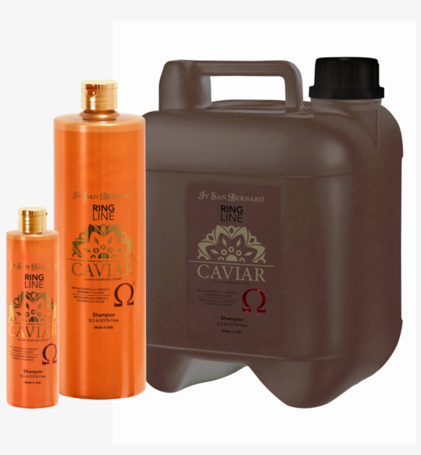 Caviarshp, transparent png #2979516