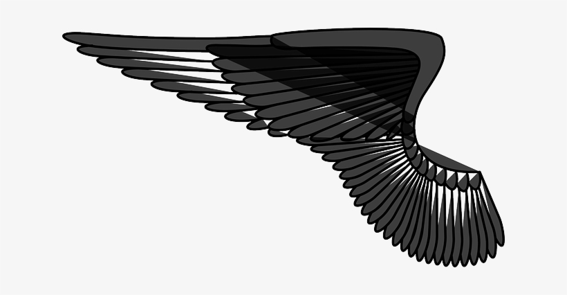 Wings Png - Angel Wings Left Png, transparent png #2979843
