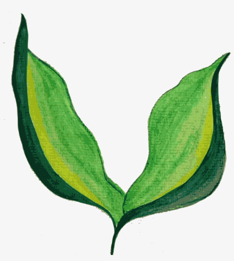Big Image - Clip Art Painted Leaf, transparent png #2980541