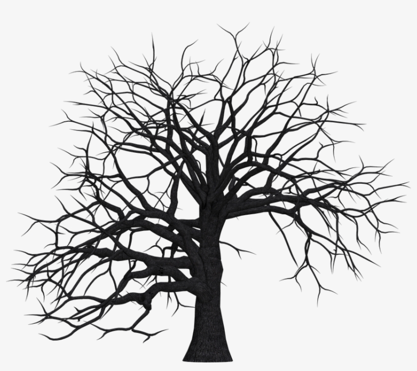 Tree, Digital Art, Isolated, Without Leaves, Leafless - Tree Trunk Silhouette Png, transparent png #2981018