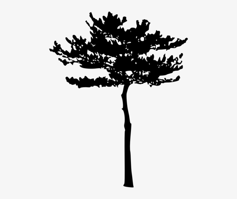 Free Png Tree Silhouette Png Images Transparent - Environment Day, transparent png #2981075