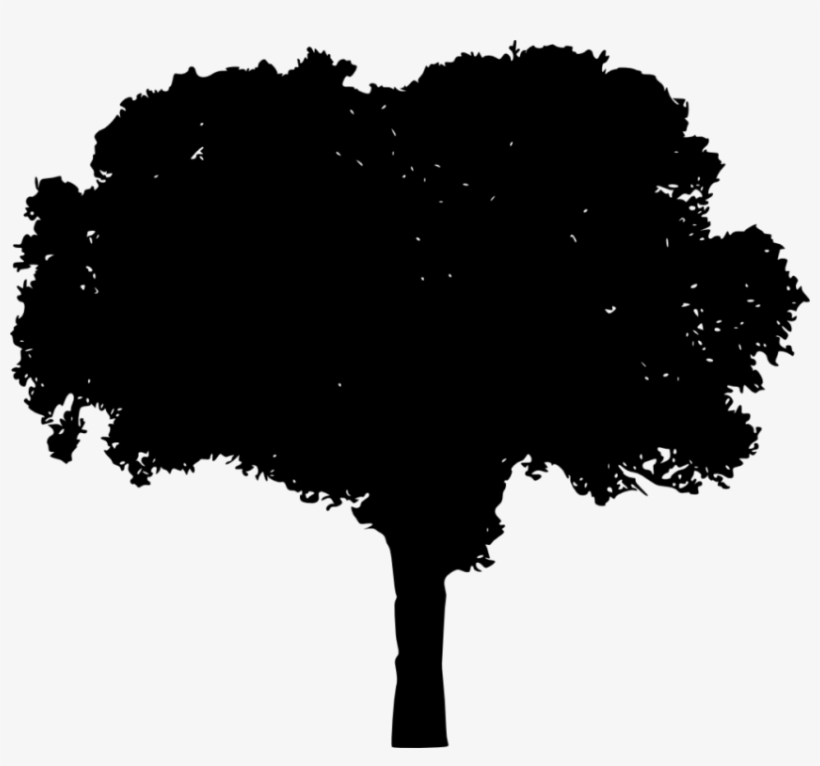 Free Png Tree Silhouette Png Images Transparent - Portable Network Graphics, transparent png #2981097
