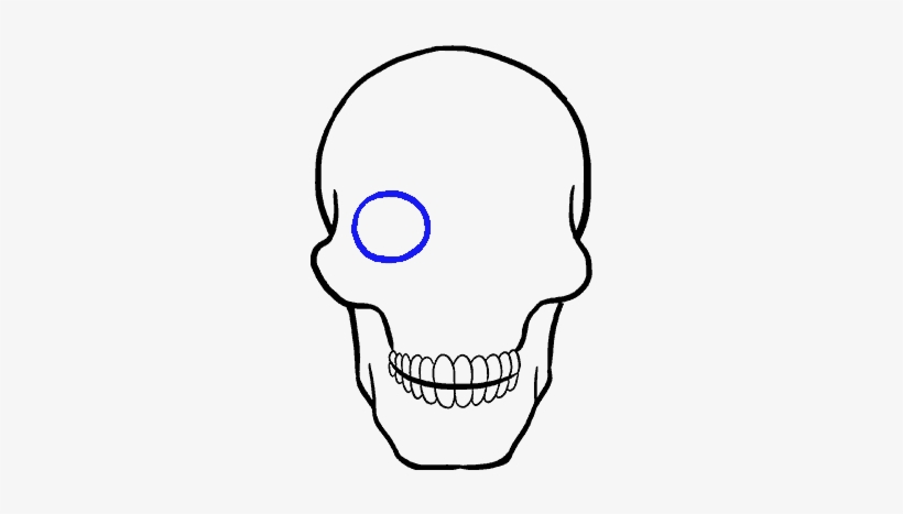 How To Draw Skull - Drawing, transparent png #2981418
