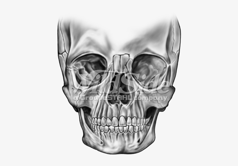 Big Skull-black - Calavera, transparent png #2981440