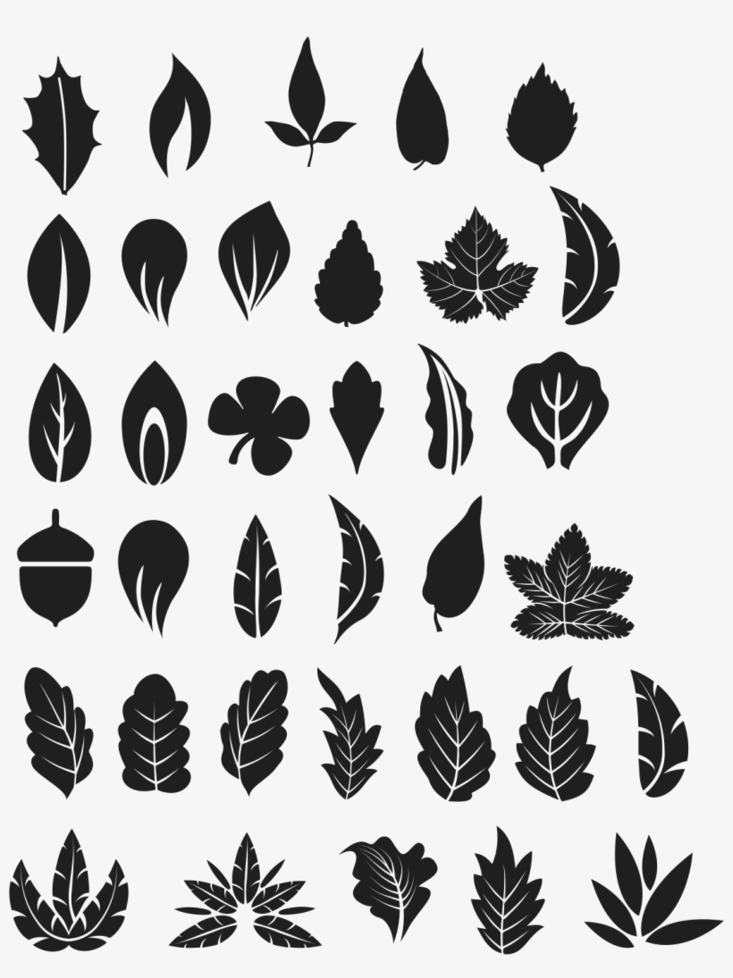 Tree Leaves Vector Free - Free Tree Leaf Vector, transparent png #2981692