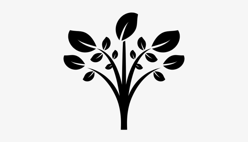 Leaves On Tree Branches Vector - Arbol En Blanco Y Negro En Png, transparent png #2981951