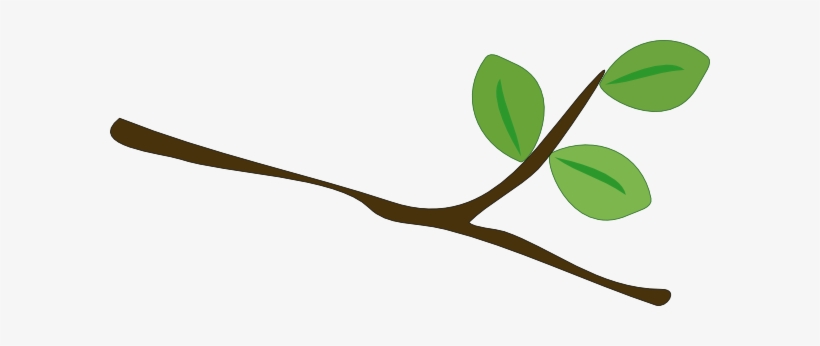 Tree Branch Clip Art Vector - Clip Art, transparent png #2982101