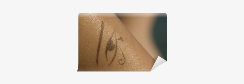 Close-up, transparent png #2982542
