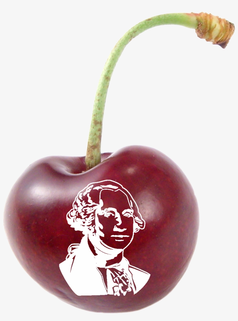 George Washington & Cherry Pie Hikes - Black Cherry, transparent png #2983222