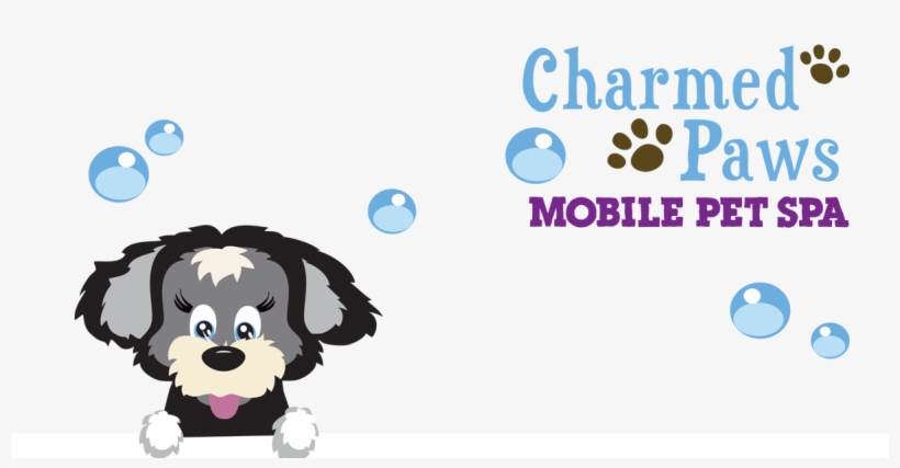 Mobile Dog Groomers & Pet Spa - Santa Gift Enclosure Cards, transparent png #2983454