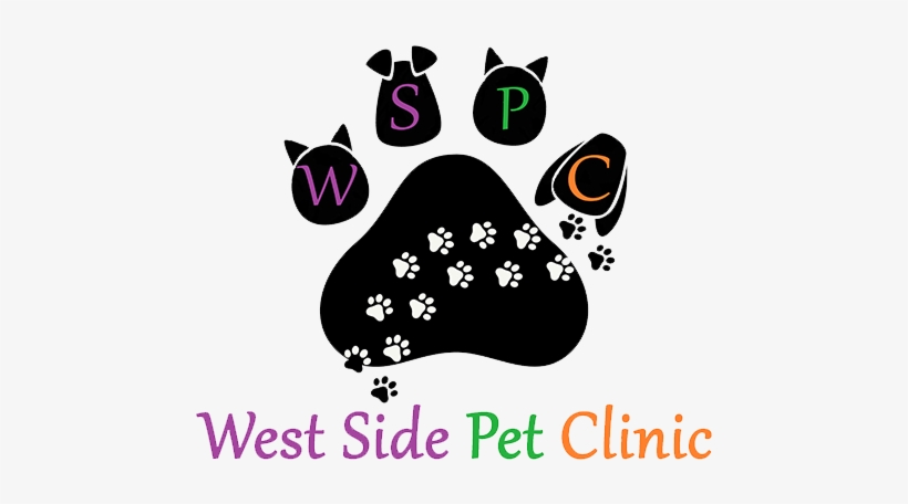 Perfect Yesterday, transparent png #2983476