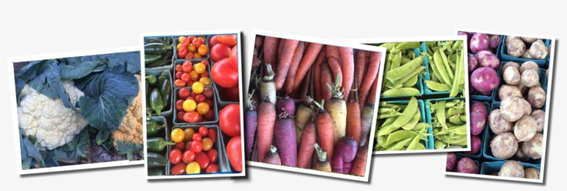 Thompson Produce, transparent png #2983502