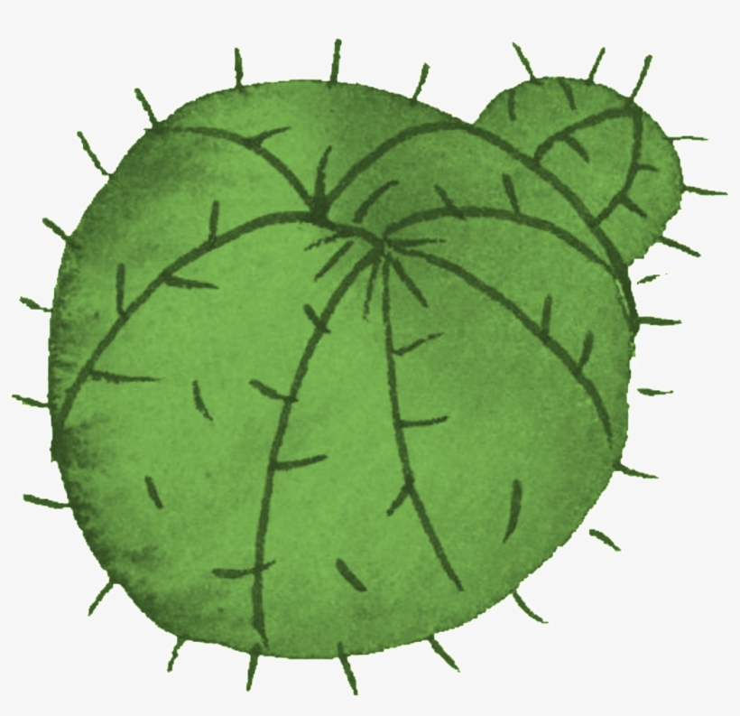 Cartoon Cactus Transparent - Cactus, transparent png #2984081