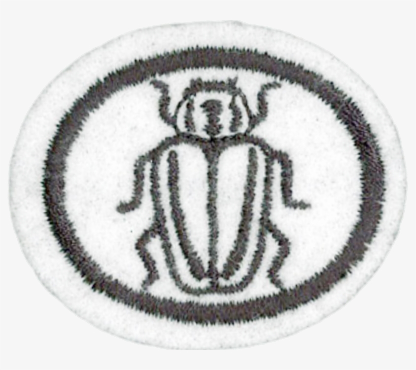 Insects Honor, transparent png #2984111