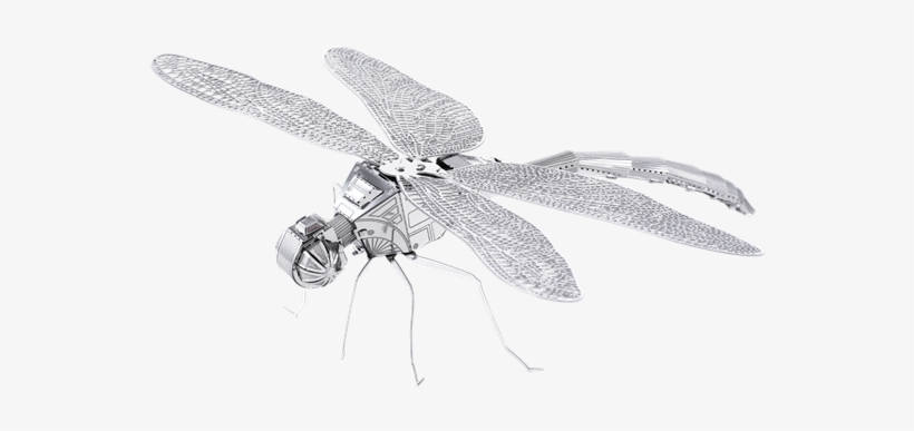 Metal Earth Bugs - Dragonfly Metal Earth 3d Model, transparent png #2984213