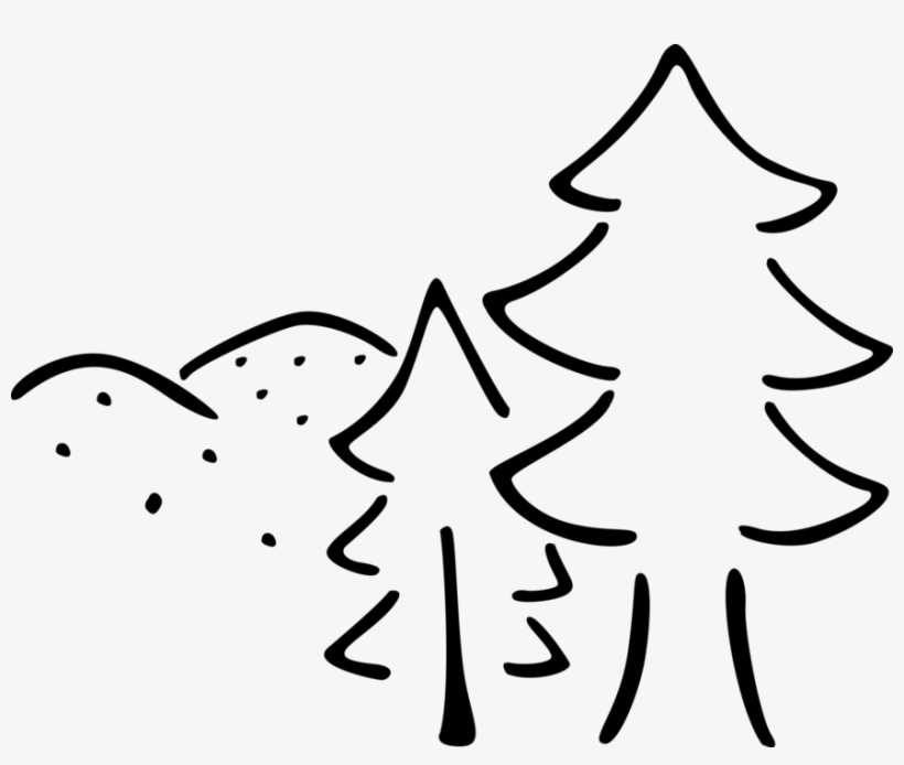Vector Illustration Of Evergreen Coniferous Pine Trees - People Magazine, transparent png #2984281