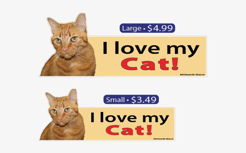 I Love My Tabby Cat - Cat, transparent png #2986562