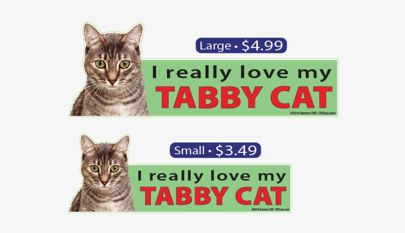 I Love My Gray Tabby Cat - Cat, transparent png #2986587