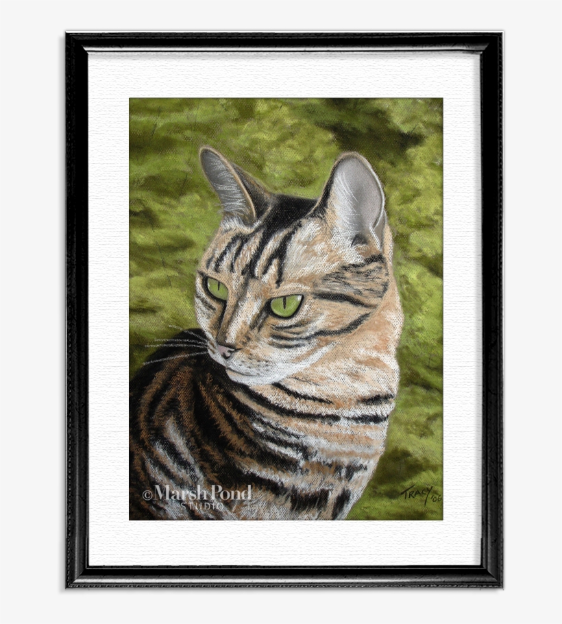 Wm-tabbycat Black, transparent png #2986662