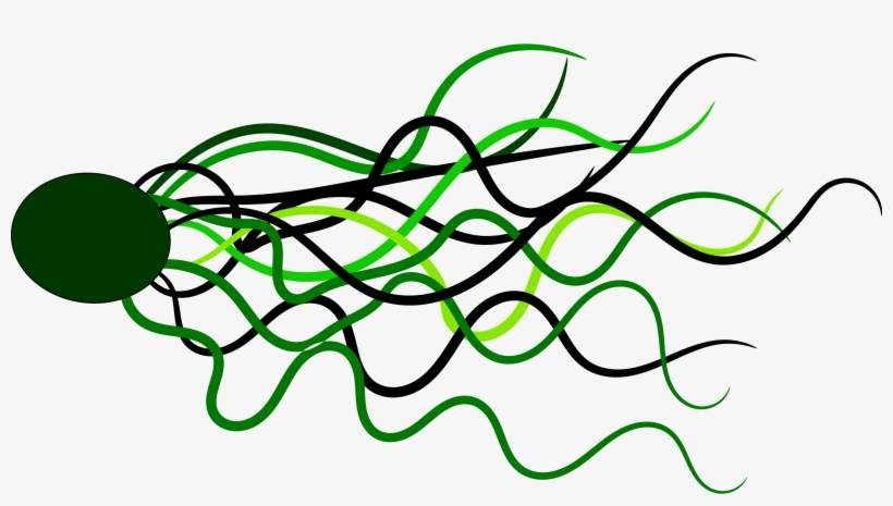 Flowing Png, transparent png #2986856