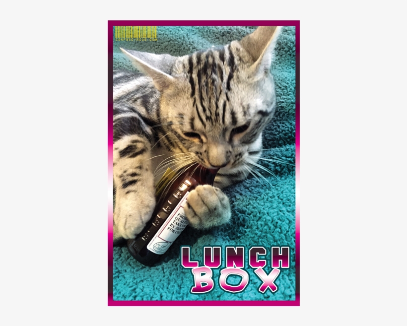 Image Of Lunchbox & Lean - Cat Grabs Treat, transparent png #2986887