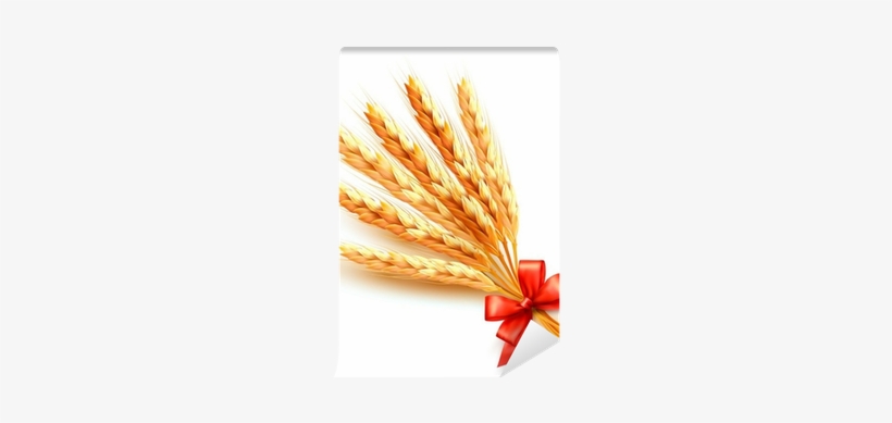 Ears Of Wheat With Red Bow - Spighe Di Grano, transparent png #2987619