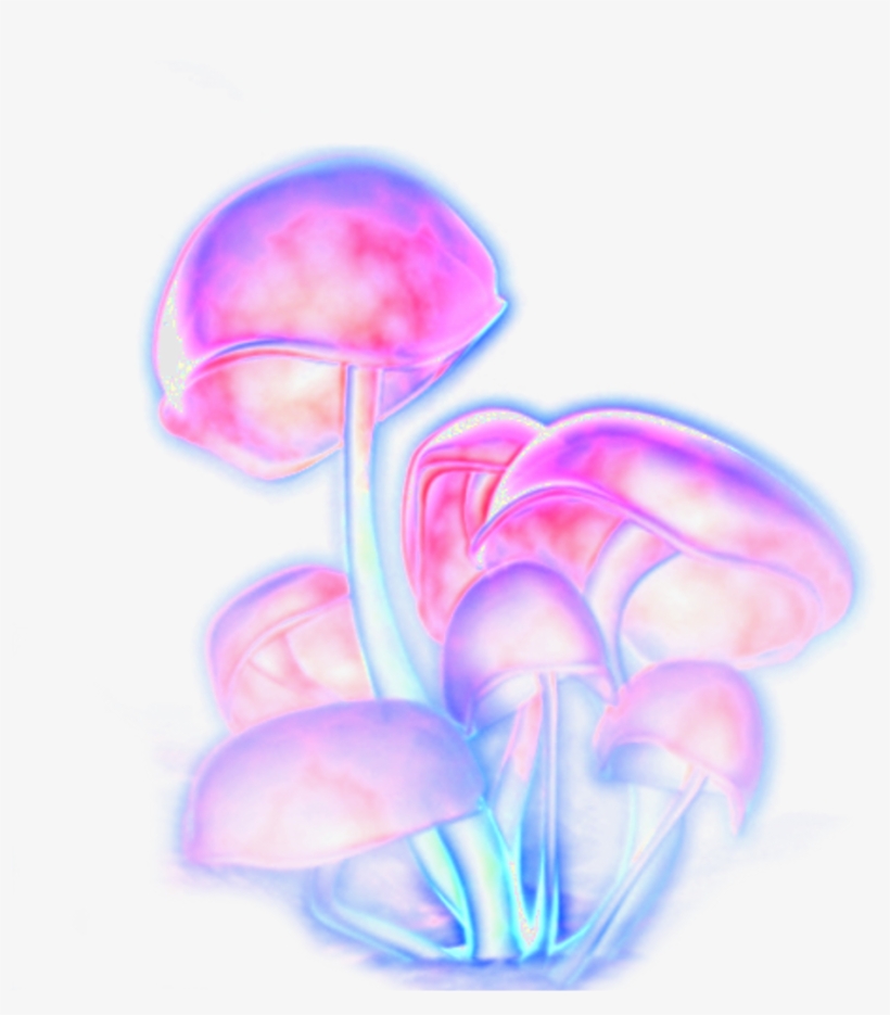 Mushrooms Shrooms Trippy Trippyart Freetoedit - Glowing Mushroom Png, transparent png #2987797