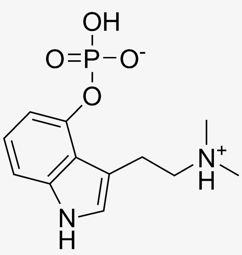 Psilocybin Chemical Structure - 4 Ho Dmt Molecule, transparent png #2988233