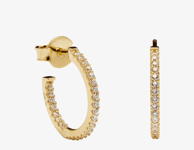 Supreme Gold Earrings - Earring, transparent png #2988815