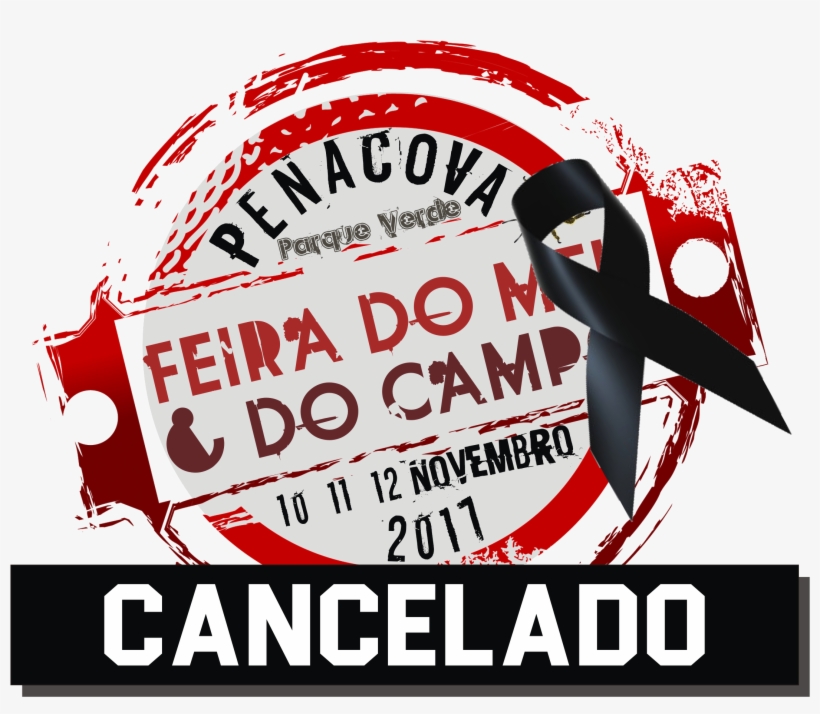 Humberto Oliveira, Presidente Do Município De Penacova, - There's No Crying In Rc Cars Sticker, transparent png #2989475