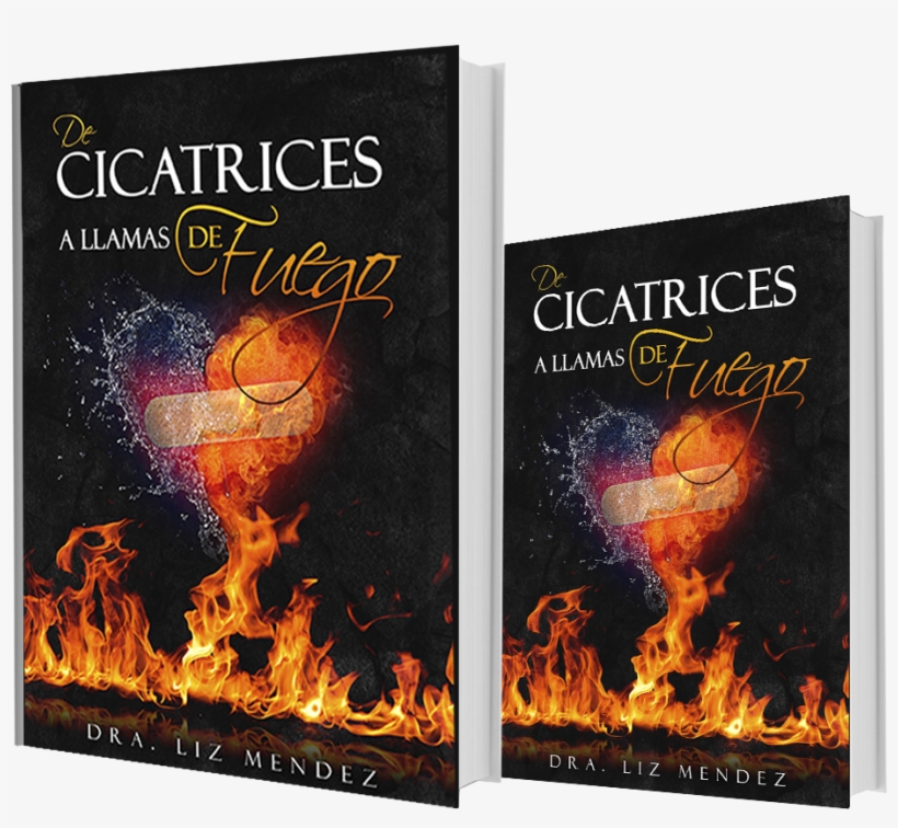 Ver Tienda - Book Cover, transparent png #2989591